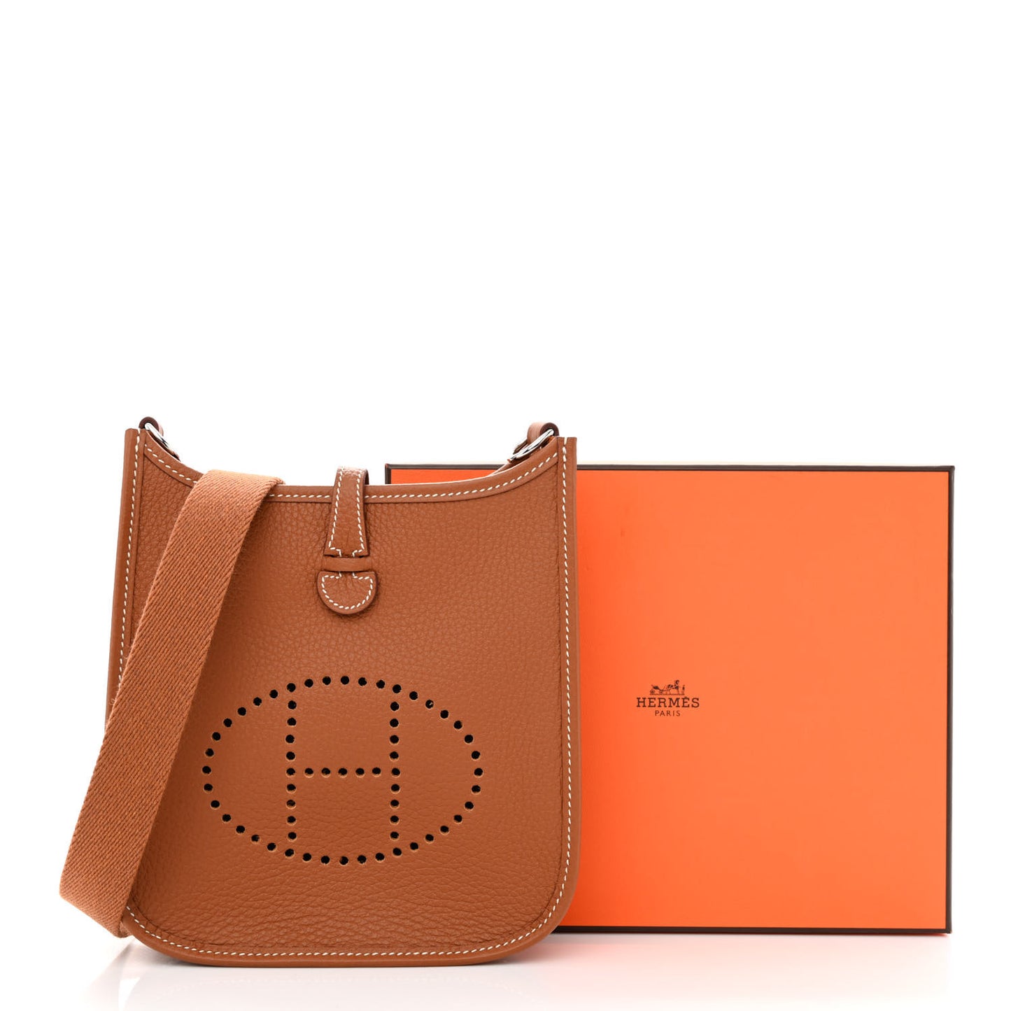 Taurillon Maurice Evelyne TPM Gold