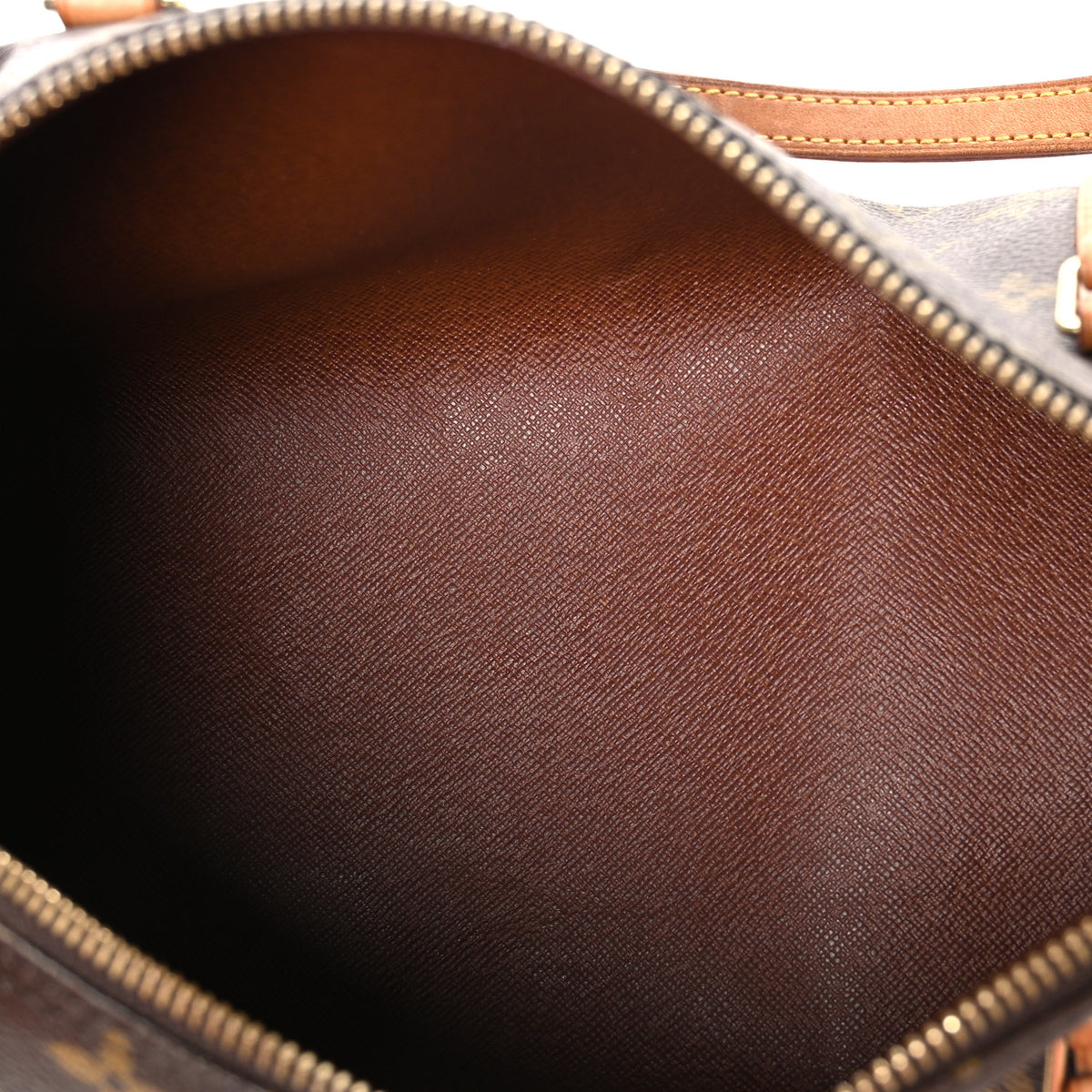 Monogram Papillon 30 with Companion