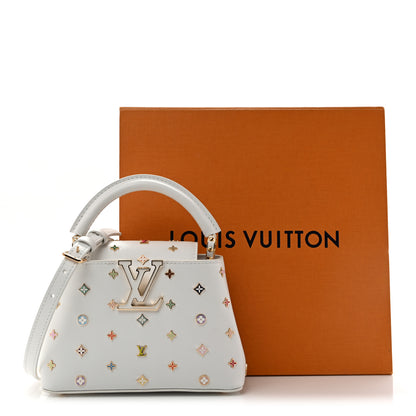 Louis Vuitton LV X TM Cowhide Mini Capucines Multicolor 11 of 11