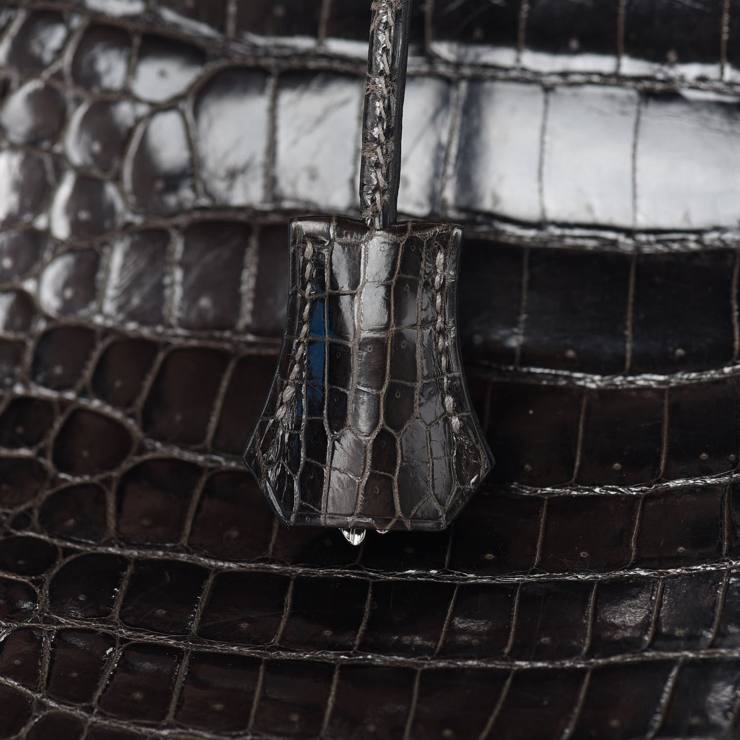 Shiny Porosus Crocodile Birkin 40 Graphite