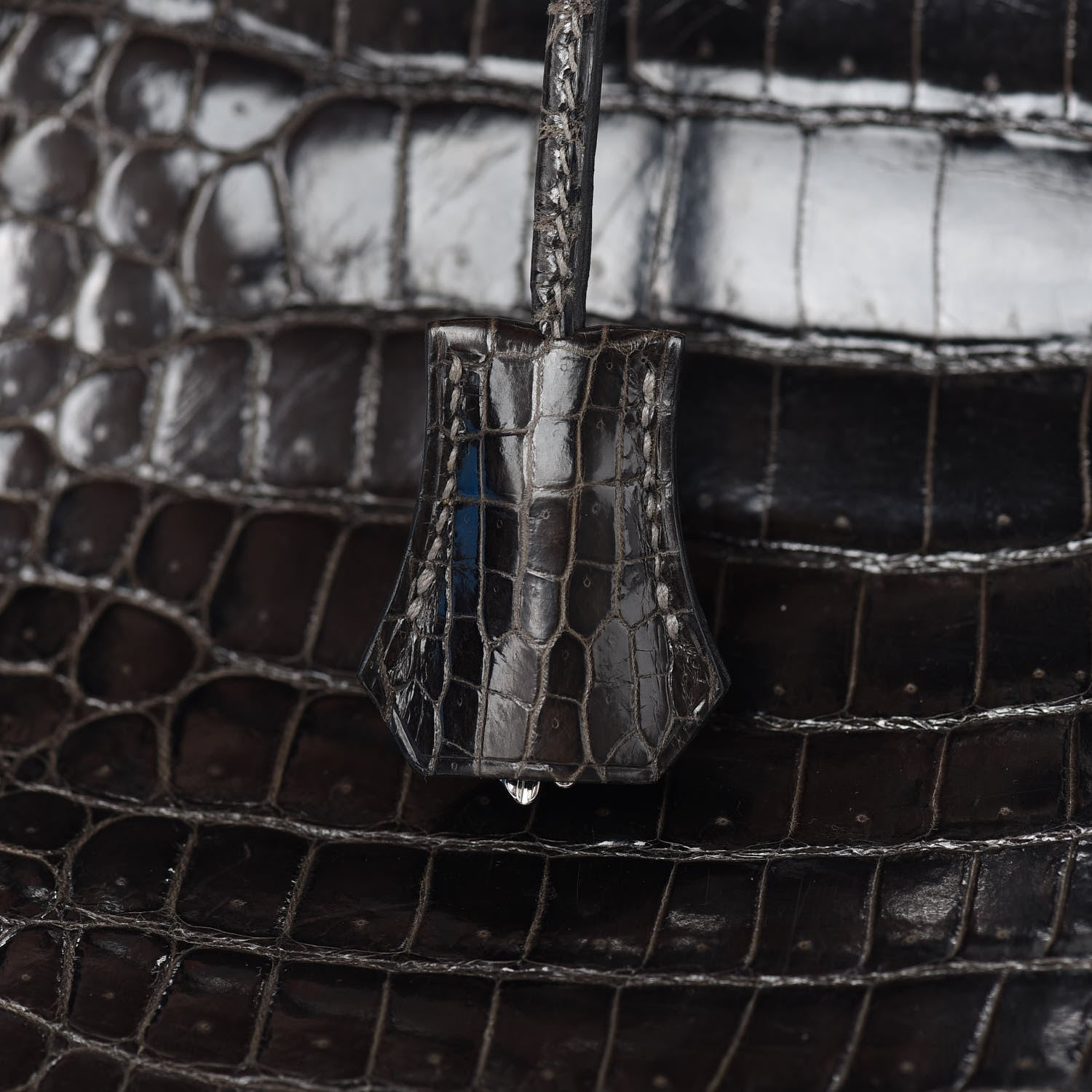 Hermes Shiny Porosus Crocodile Birkin 40 Graphite 30 of 45