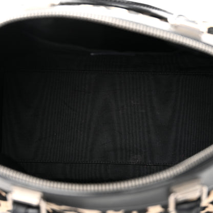 Louis Vuitton Jacquard Velvet Leopard Print Stephen Sprouse Speedy 5 of 16