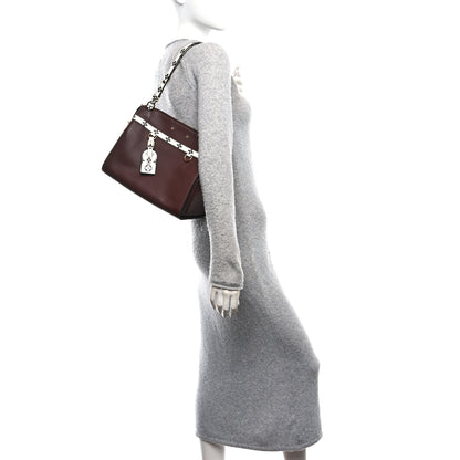 Louis Vuitton Calfskin Colored Monogram Speedy Amazon Chocolate White 2 of 9