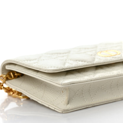 Christian Dior Supple Calfskin Caro Belt Bag Latte 7 of 8