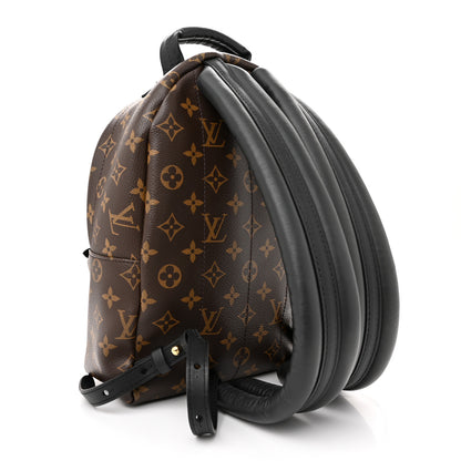 Louis Vuitton Monogram Palm Springs Backpack PM 3 of 9