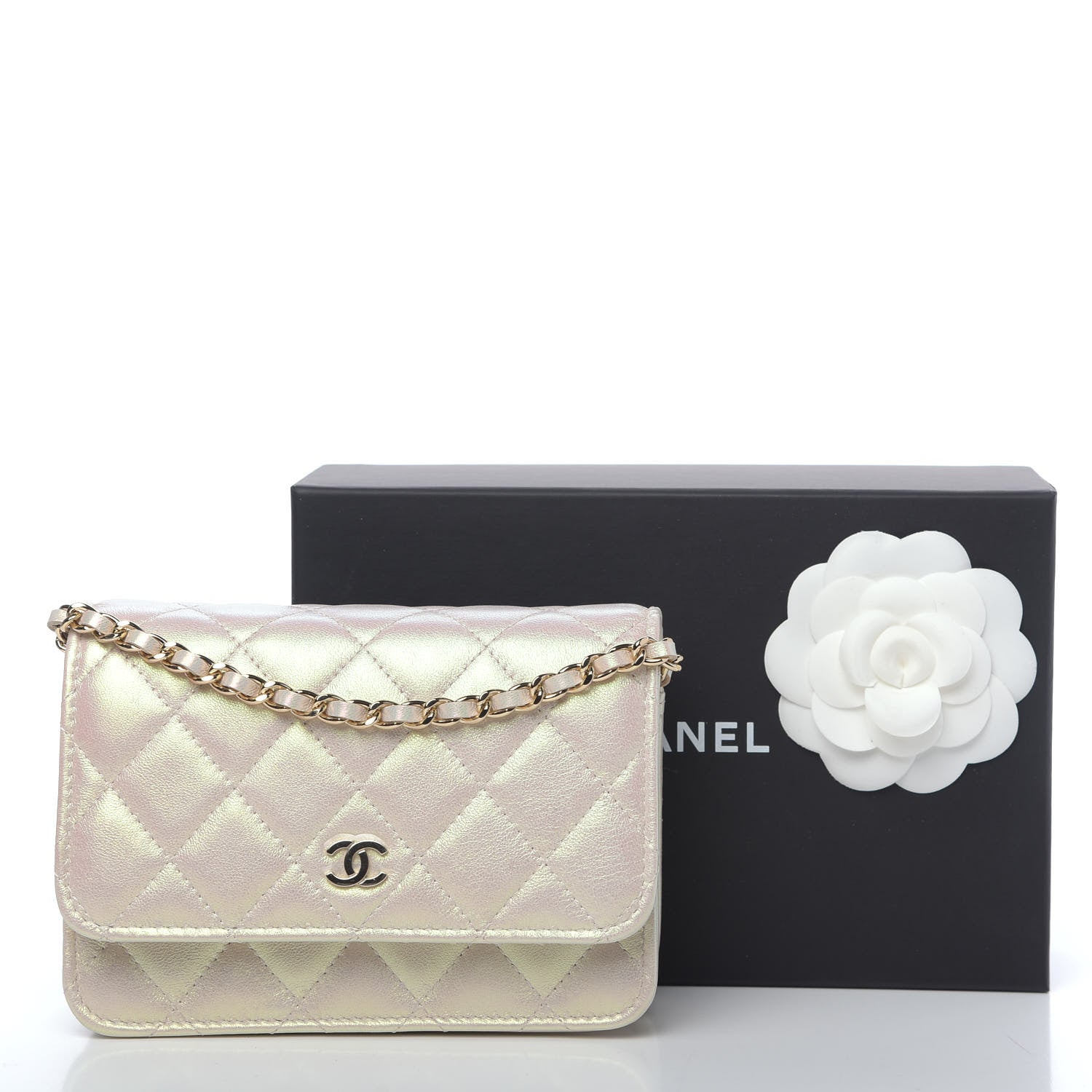 Chanel Iridescent Lambskin Quilted Mini Wallet On Chain WOC Ivory 11 of 11