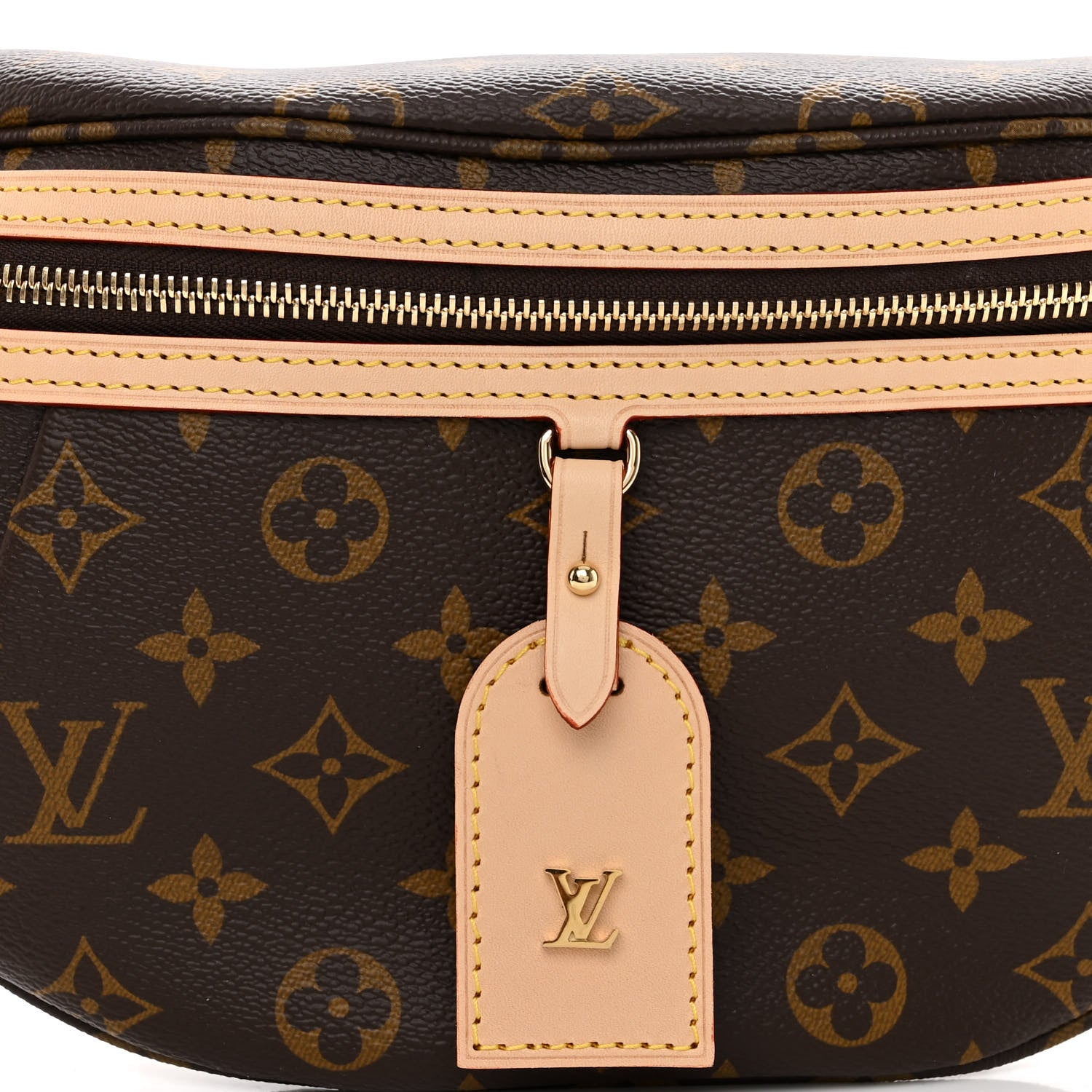 Louis Vuitton Monogram High Rise Bumbag 8 of 10