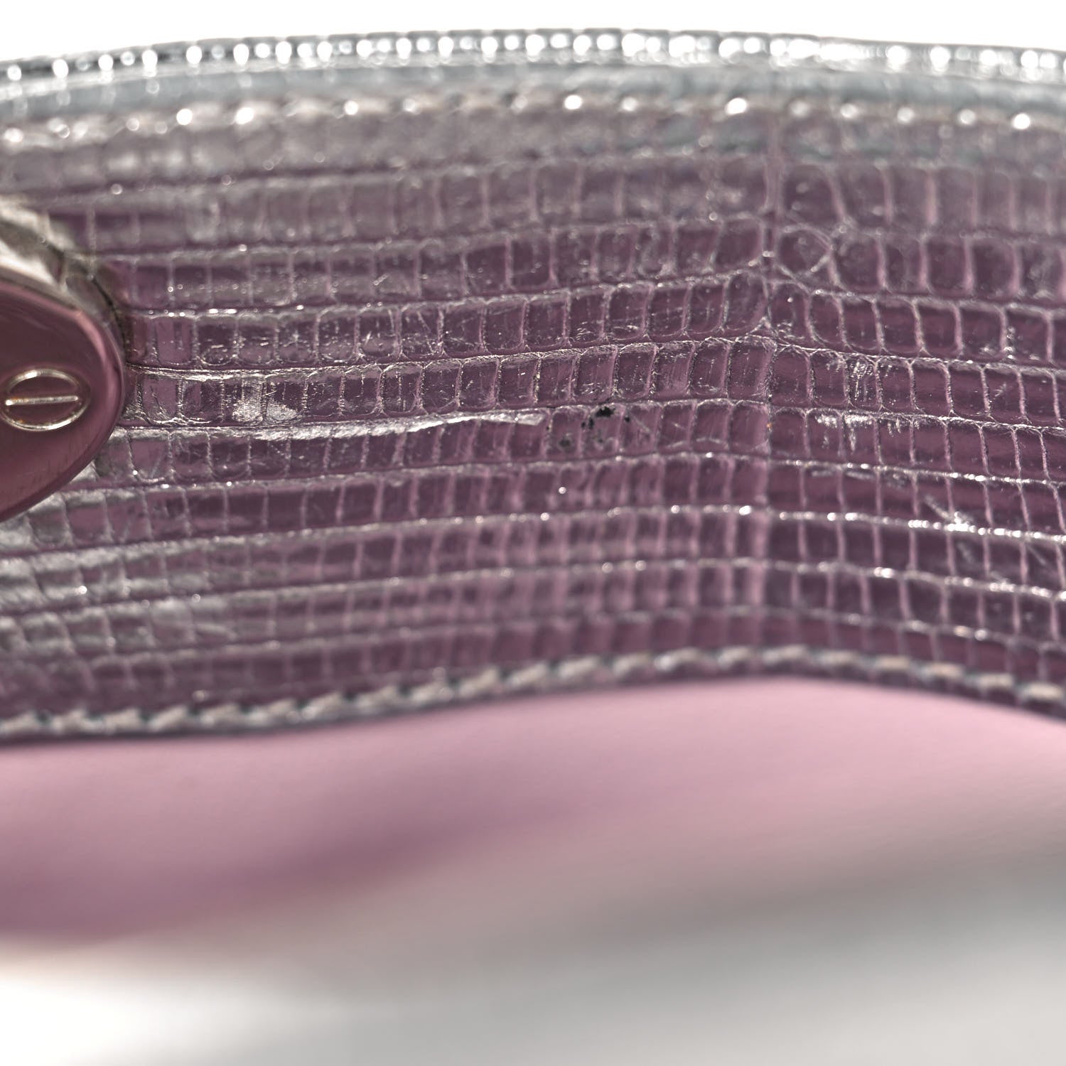 Christian Dior Metallic Lizard Mini Lady Dior Silver 12 of 18