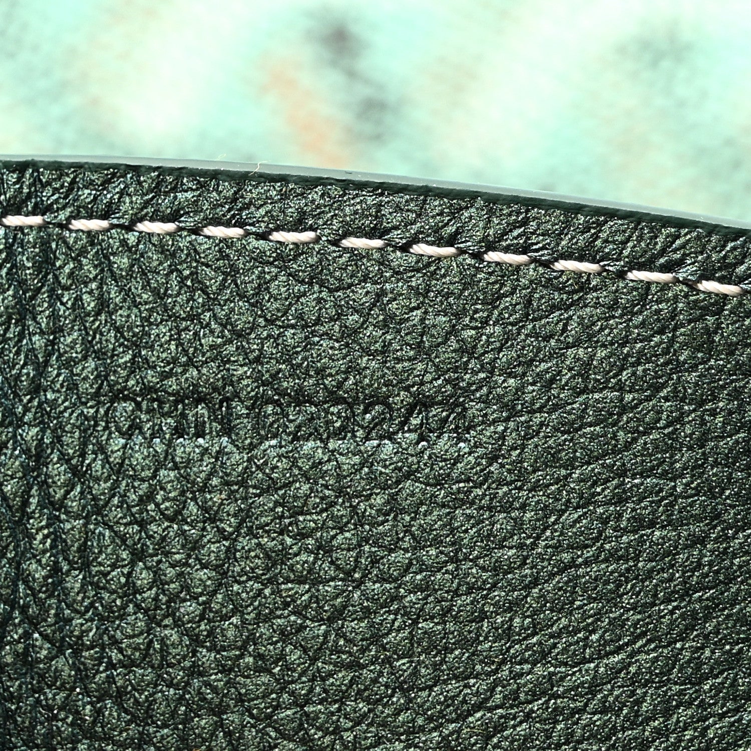 Goyard Iridescent Goyardine Saint Louis GM Pearly Green 8 of 11