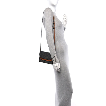 Celine Triomphe Canvas Lambskin Wallet On Strap Tan 2 of 11