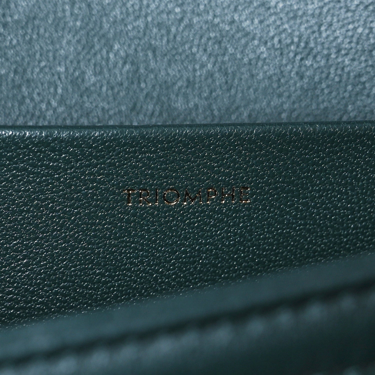 Celine Shiny Calfskin Medium Triomphe Amazone 10 of 19