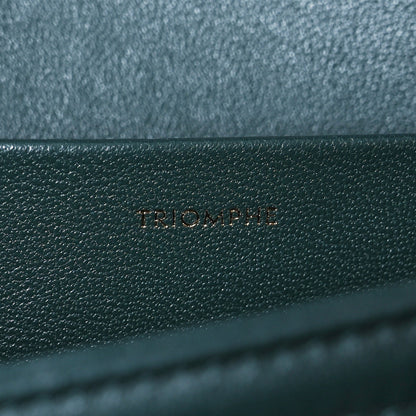 Celine Shiny Calfskin Medium Triomphe Amazone 10 of 19
