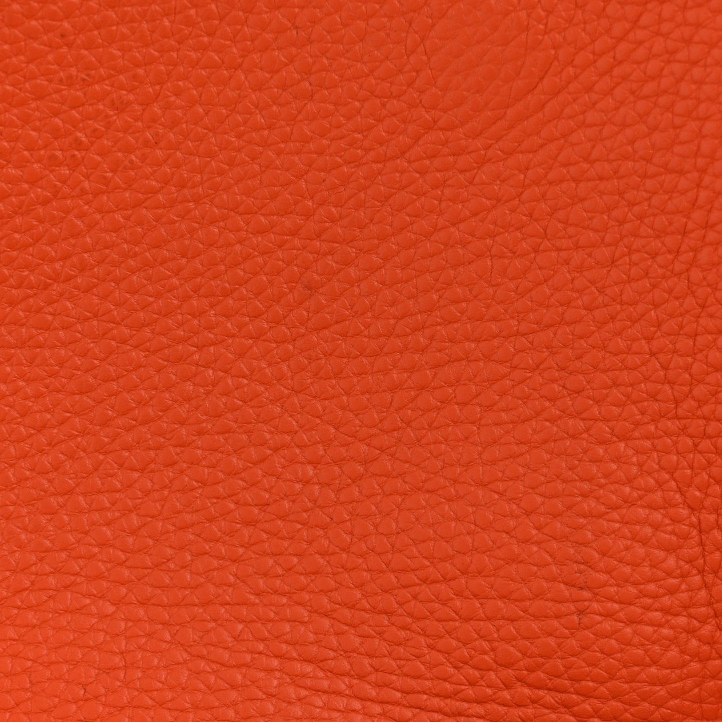 Taurillon Clemence EVELYNE III GM Orange
