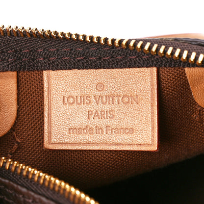 Louis Vuitton Monogram Nano Speedy 6 of 11