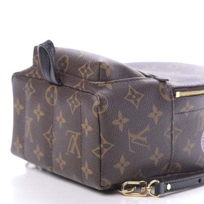 Louis Vuitton Monogram My World Tour Palm Springs Backpack Mini 5 of 9
