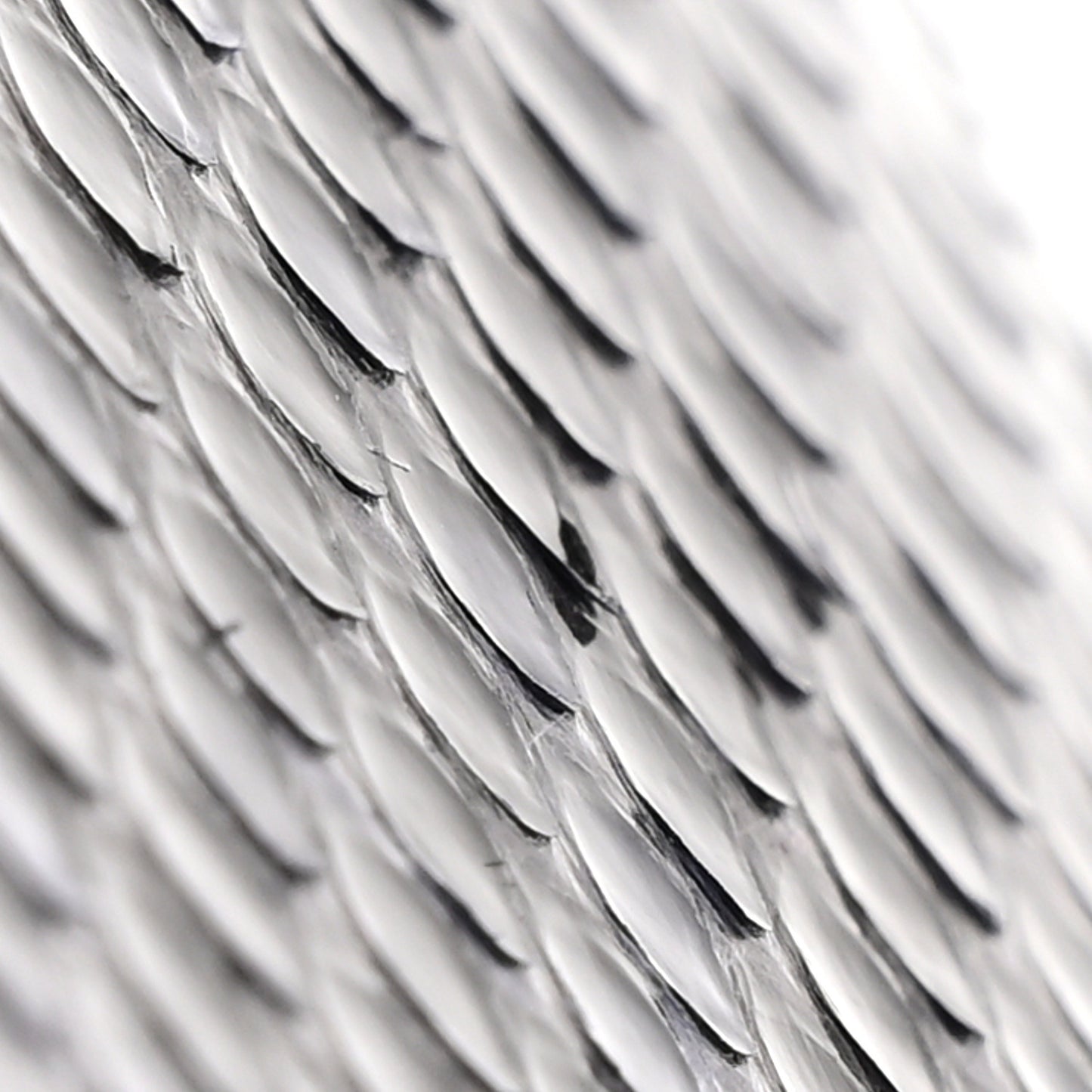 Snakeskin Metal Monster Eyes Zip Around Wallet Navy