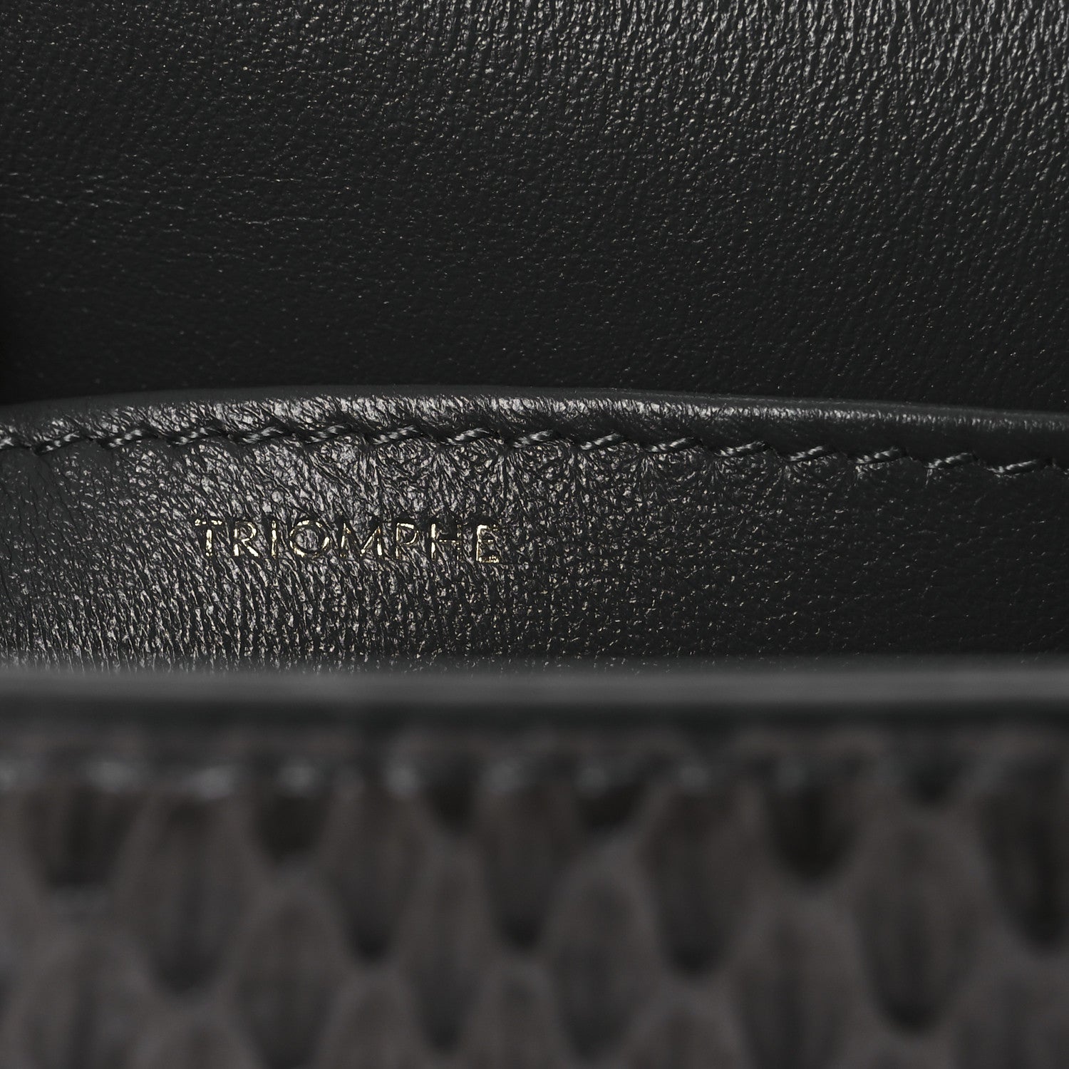Celine Watersnake Teen Triomphe Grey 7 of 12