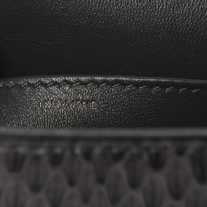 Celine Watersnake Teen Triomphe Grey 7 of 12