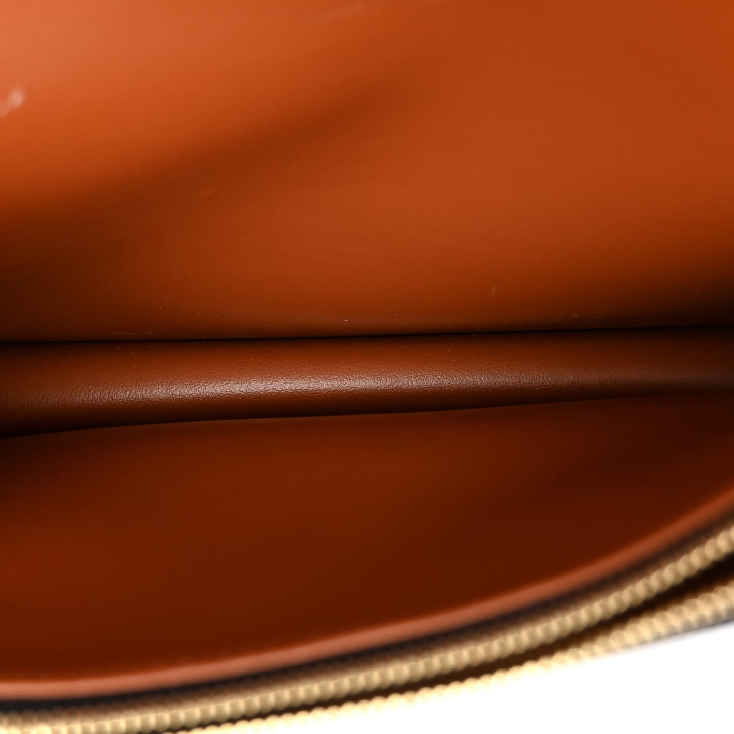 Triomphe Canvas Lambskin Wallet On Strap Tan