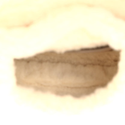 Christian Dior Suede Shearling Medium Bobby Flap Beige 5 of 9