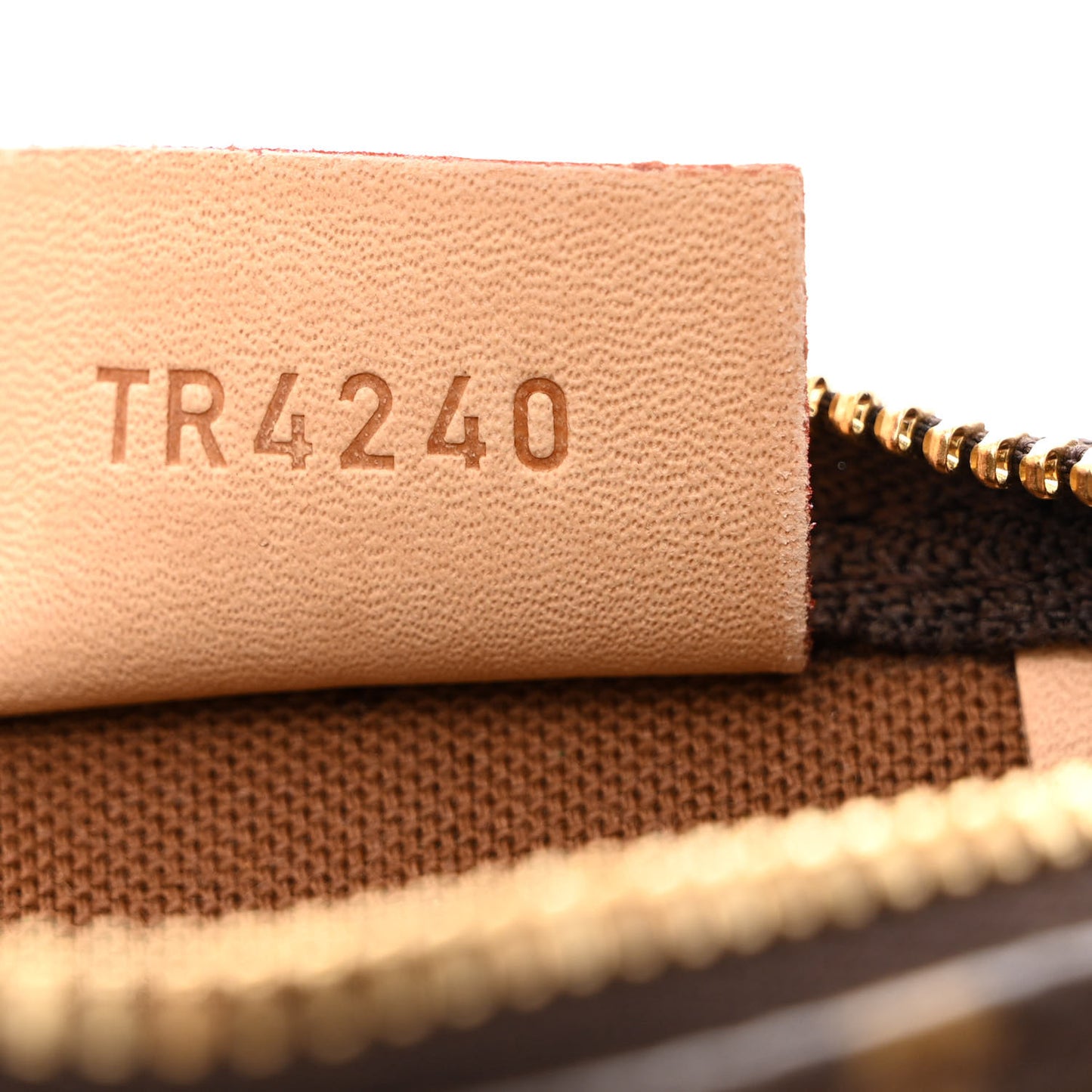 Monogram Nano Speedy