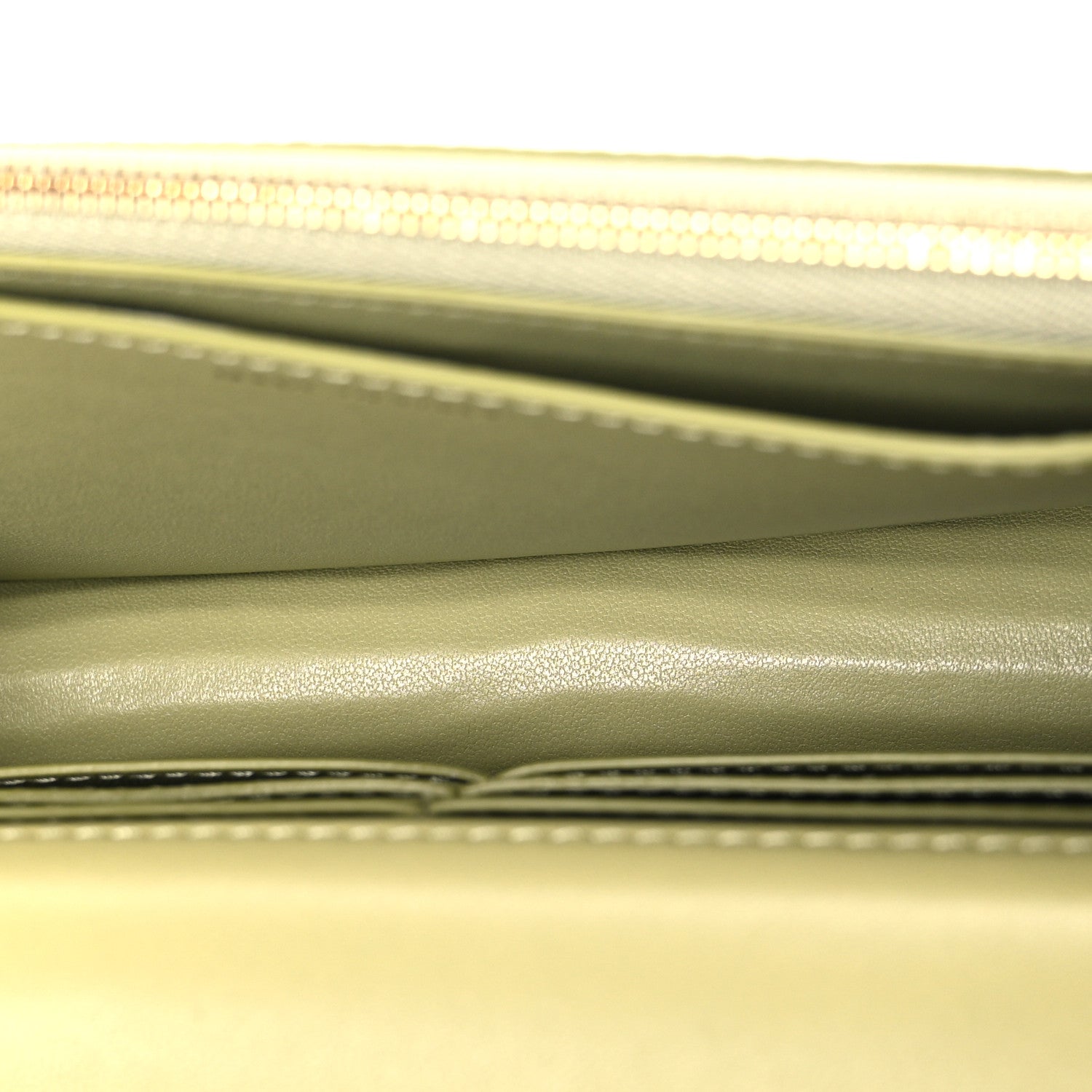 Chanel Shiny Lizard Wallet on Chain WOC Green 4 of 10