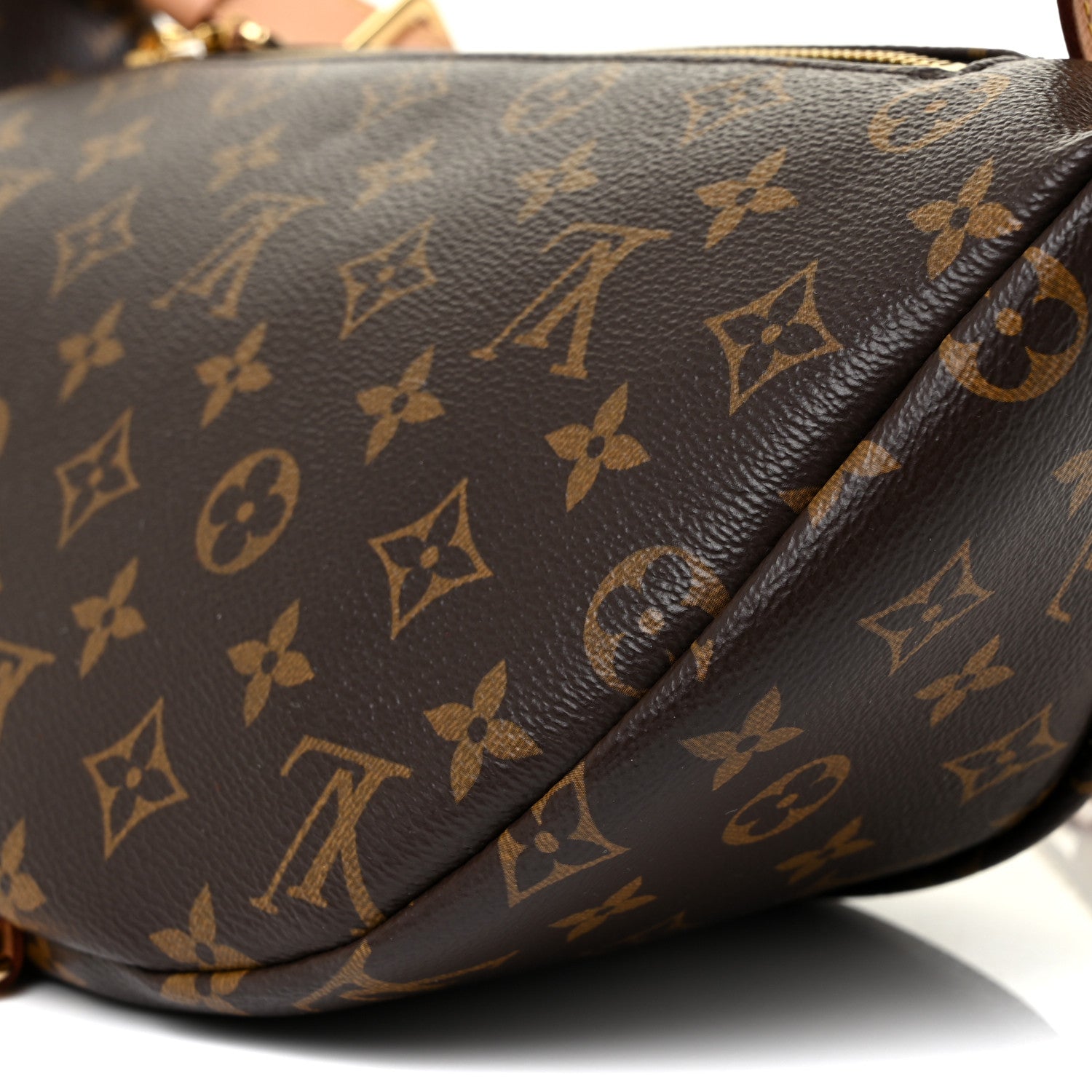 Louis Vuitton Monogram Bumbag 9 of 13