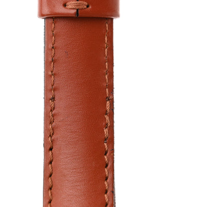 Louis Vuitton Epi Cluny Kenyan Fawn 11 of 12
