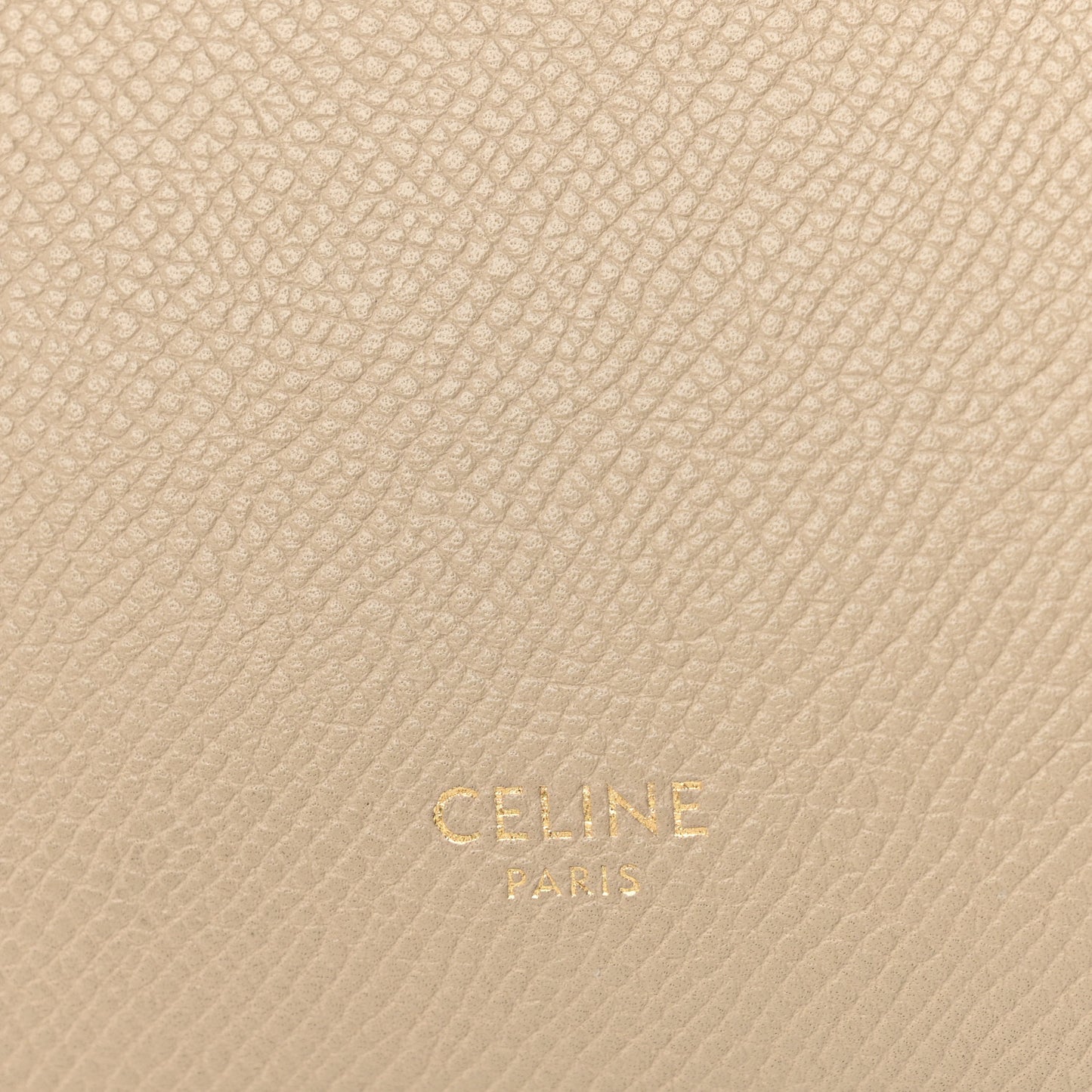 Grained Calfskin Nano Belt Bag Light Taupe