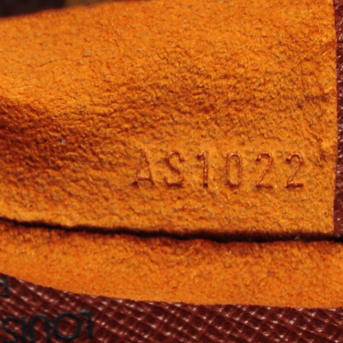 Monogram Musette Salsa