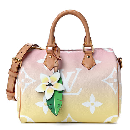 Louis Vuitton Monogram Giant By The Pool Speedy Bandouliere 25 Light Pink 1 of 12
