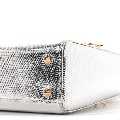 Christian Dior Metallic Lizard Small Lady Dior Argent 10 of 10