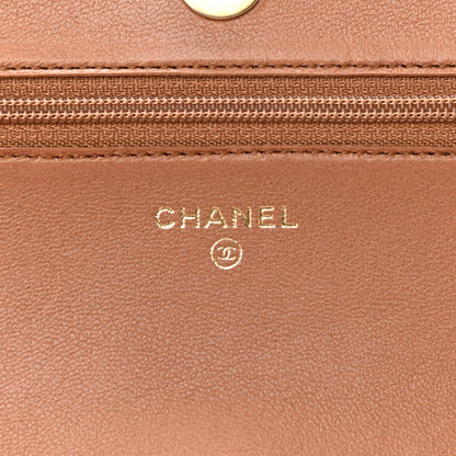Chanel Lambskin Quilted Chanel 19 Wallet On Chain WOC Brown 6 of 10