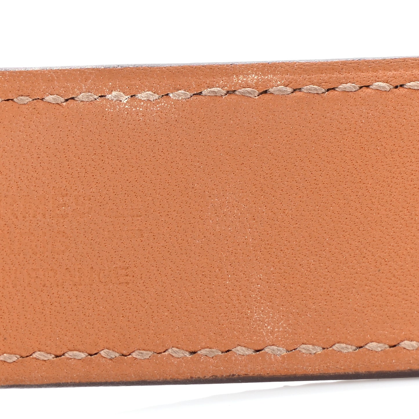 Lizard Collier De Chien CDC 24 Bracelet T2 Ombre