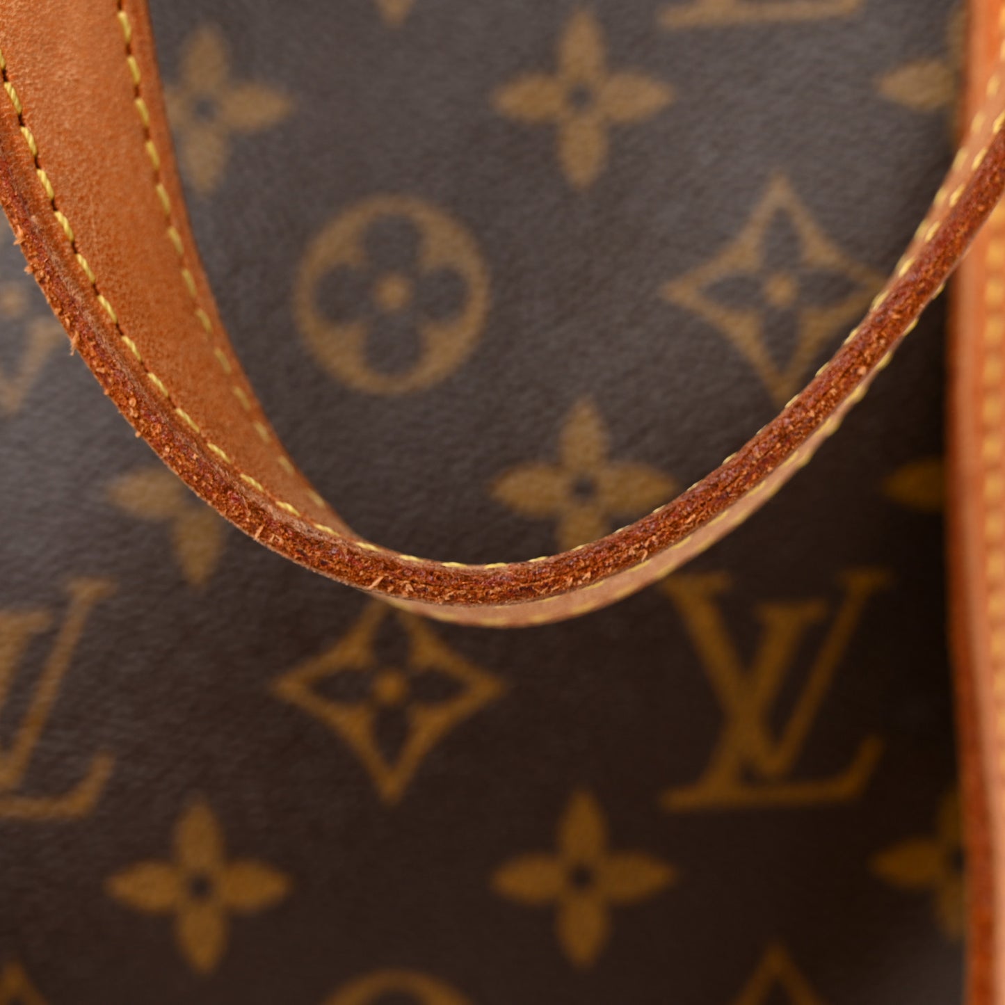 Monogram Cabas Mezzo