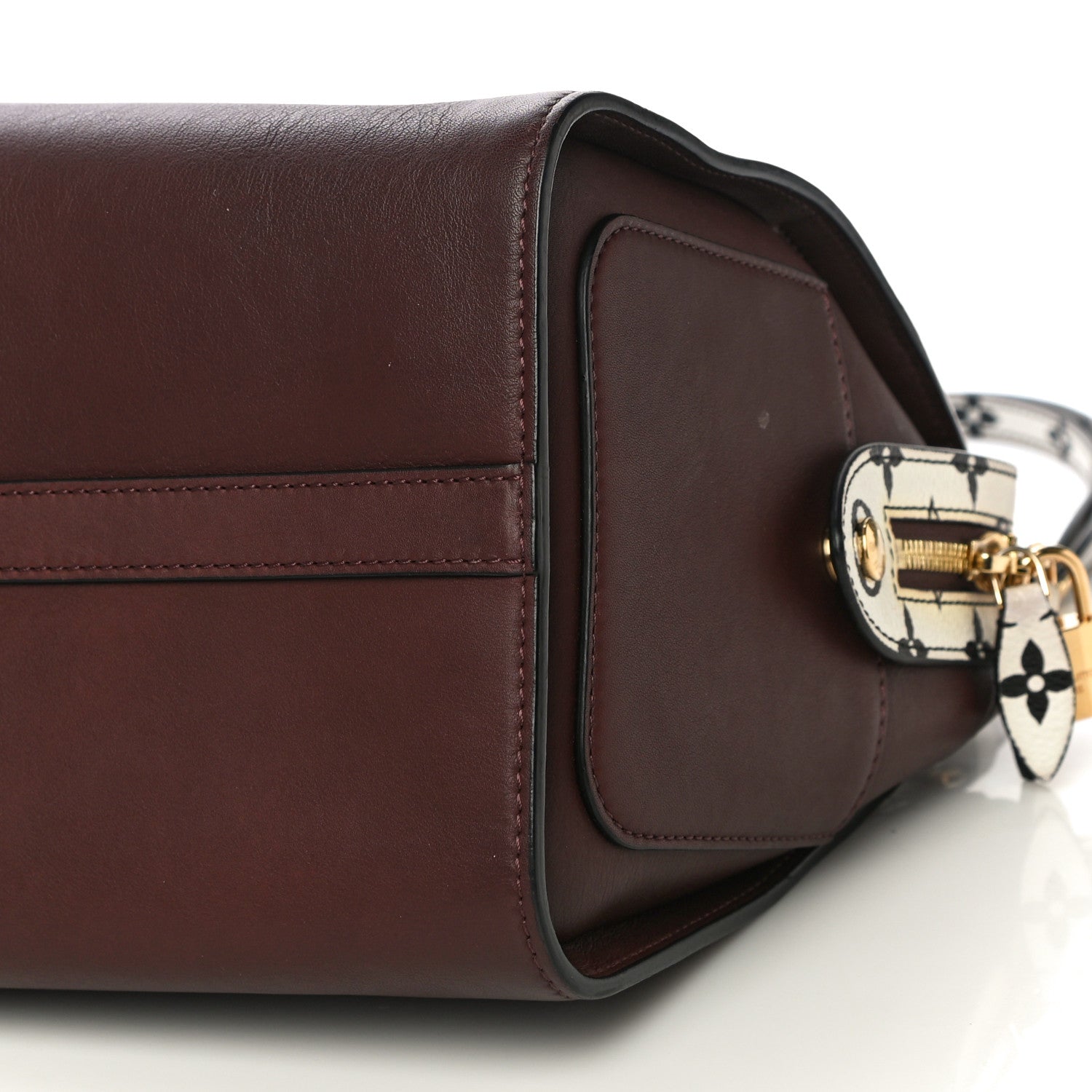 Louis Vuitton Calfskin Colored Monogram Speedy Amazon MM Chocolate White 9 of 14