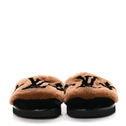 Louis Vuitton Mink Pool Pillow Comfort Mule 40 Brown 2 of 9