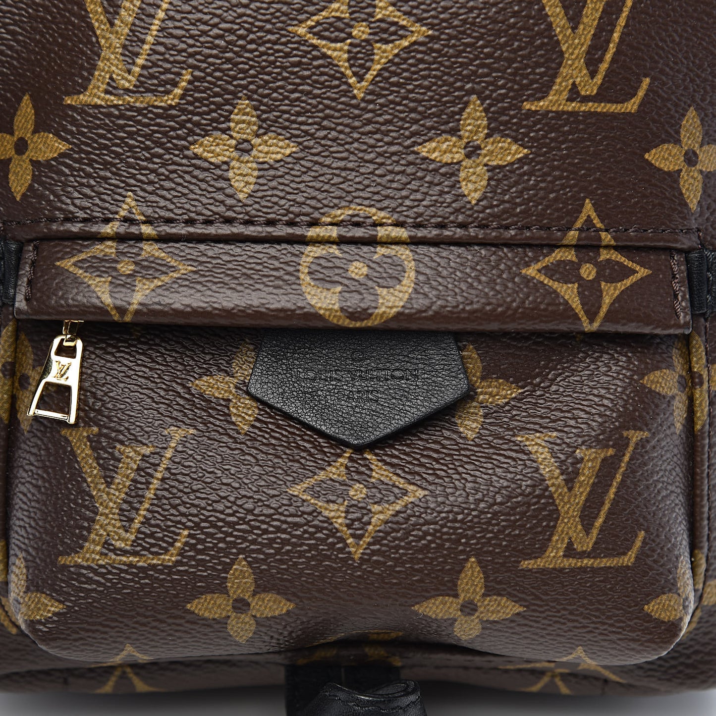 Monogram Palm Springs Backpack Mini
