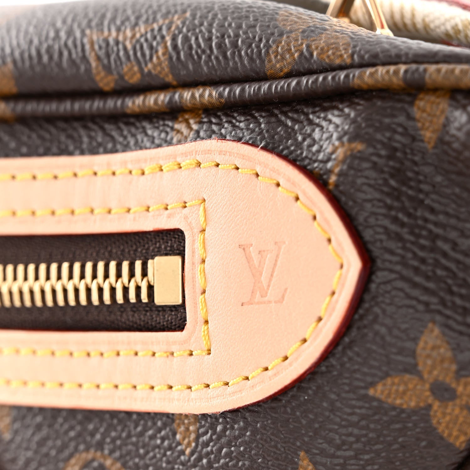Louis Vuitton Monogram High Rise Bumbag 7 of 10