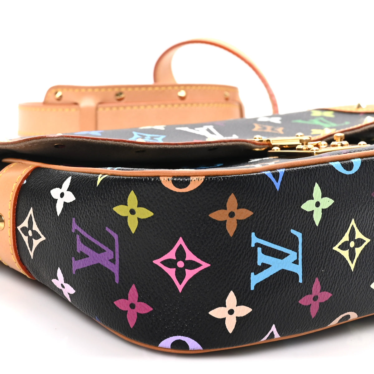 Monogram Multicolor Sologne Black