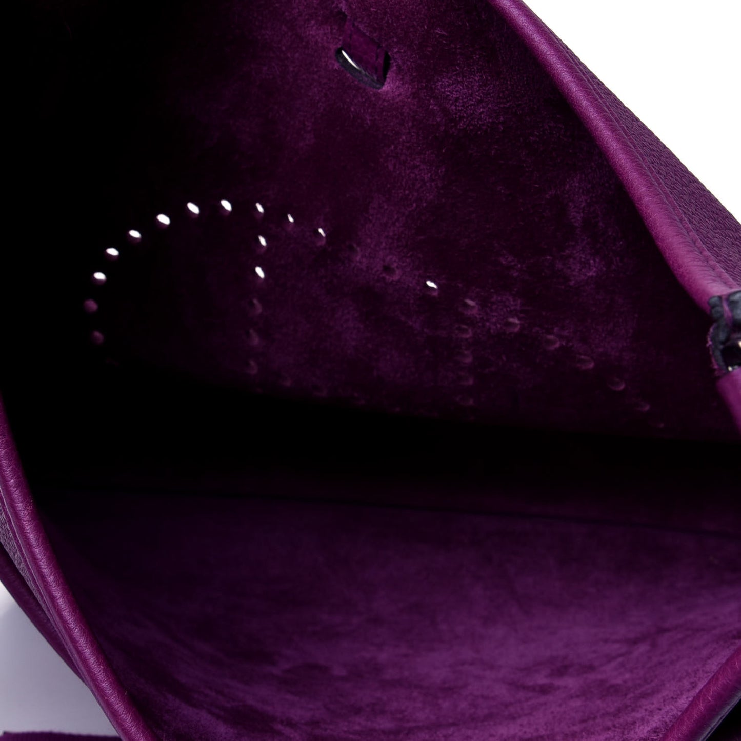 Taurillon Clemence Evelyne III PM Anemone