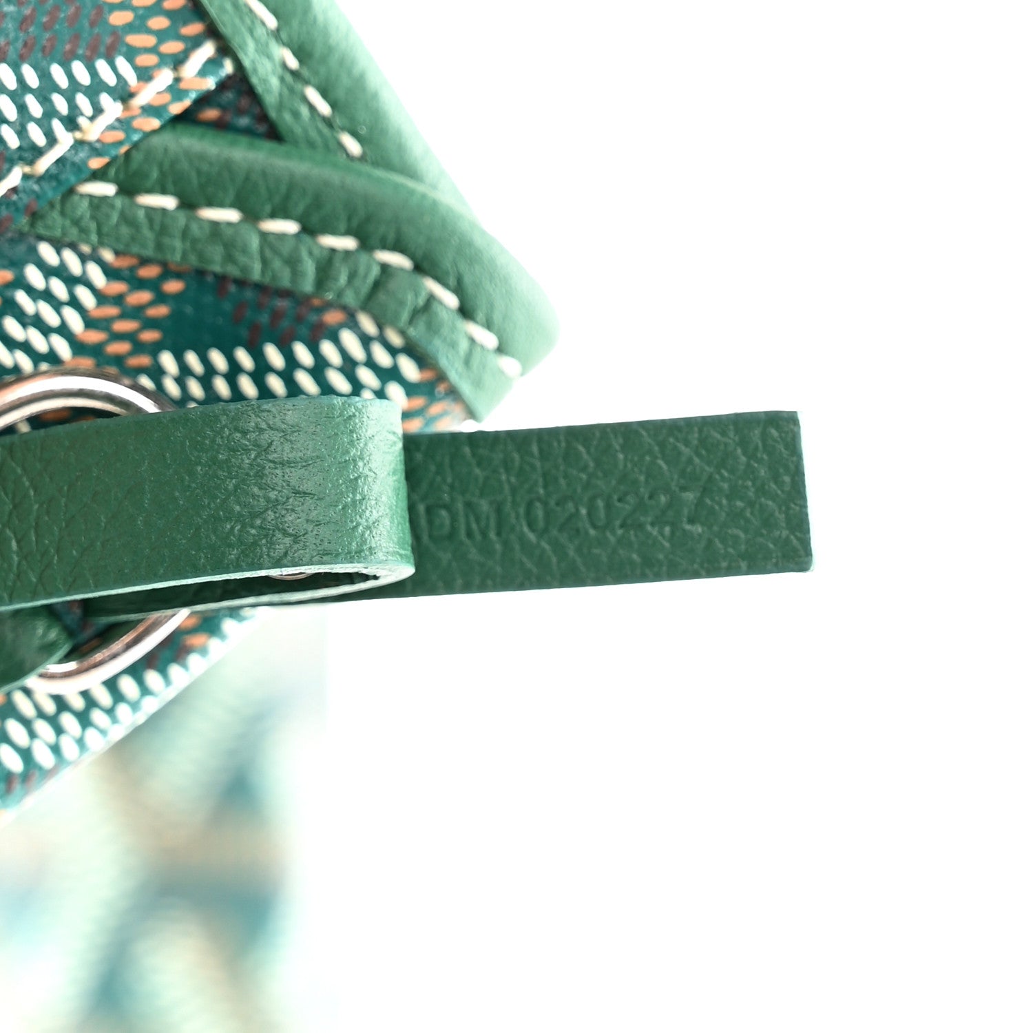 Goyard Goyardine Saint Louis PM Green 7 of 10