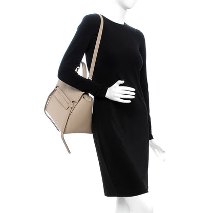 Celine Grained Calfskin Mini Belt Bag Light Taupe 3 of 7