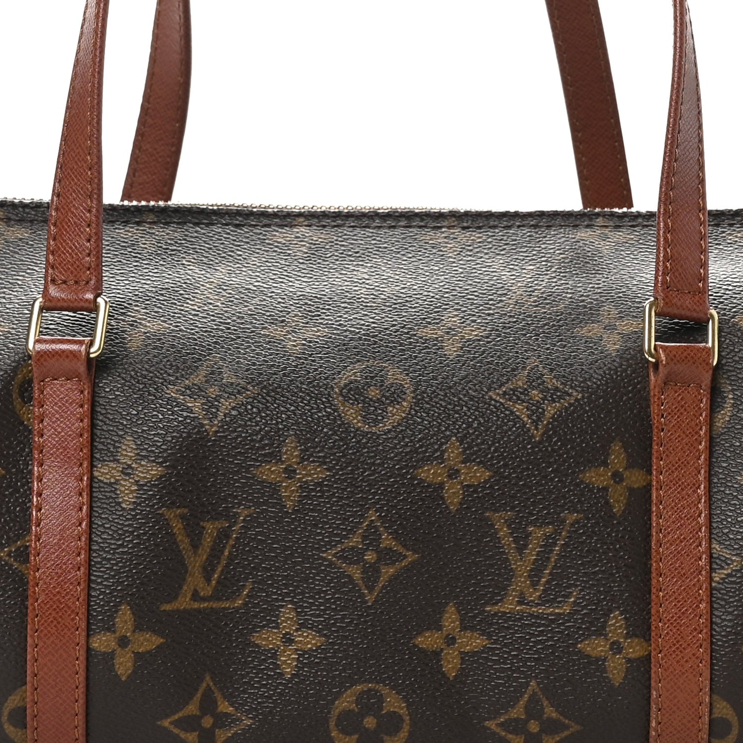 Monogram Papillon 30 with Companion