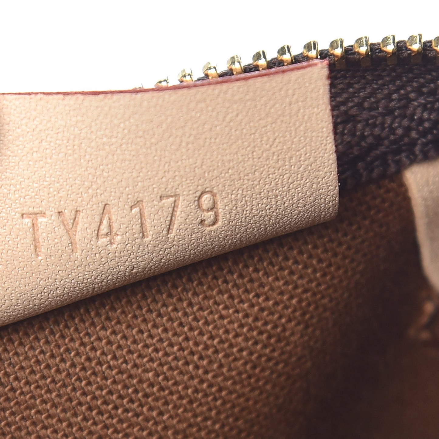 Monogram Nano Speedy