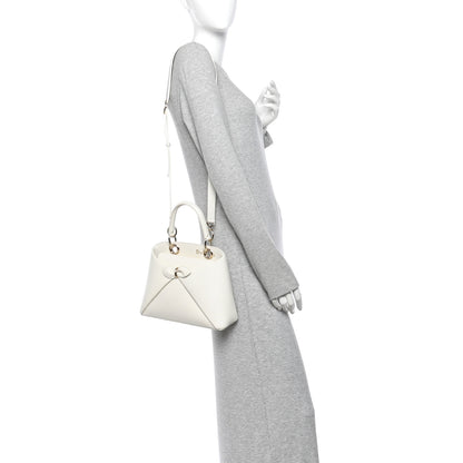 Christian Dior Shiny Smooth Calfskin Small Cigale Bag Latte 2 of 10