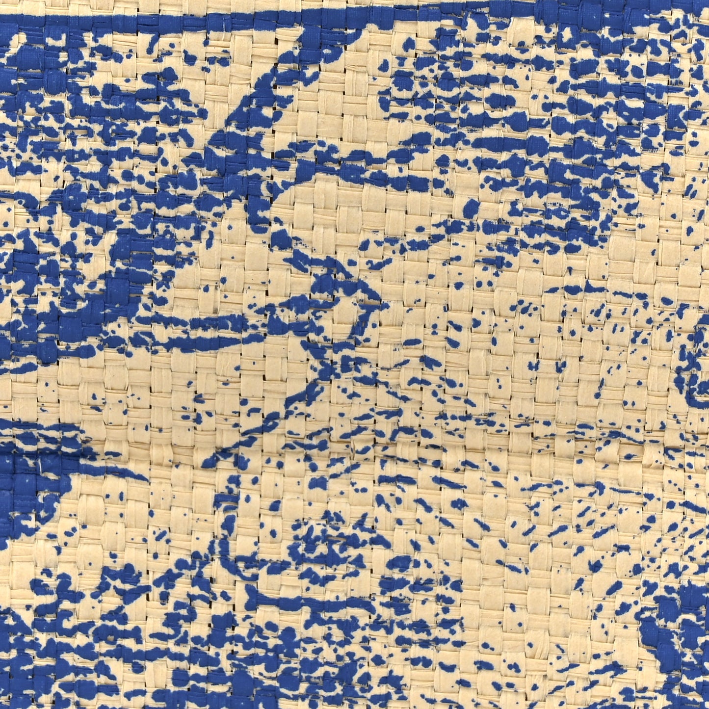 Straw Dioriviera Tote Blue