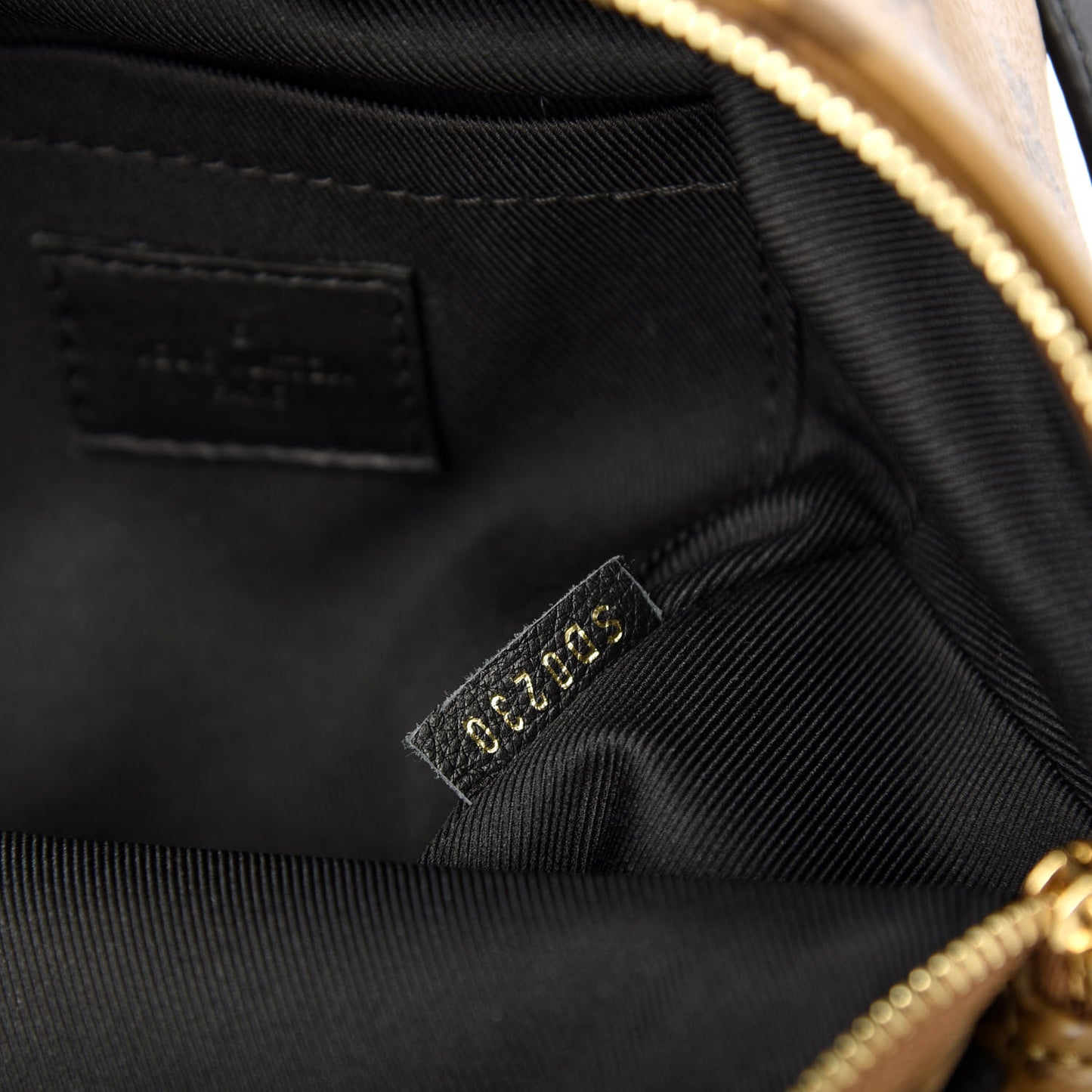 Reverse Monogram Palm Springs Backpack Mini