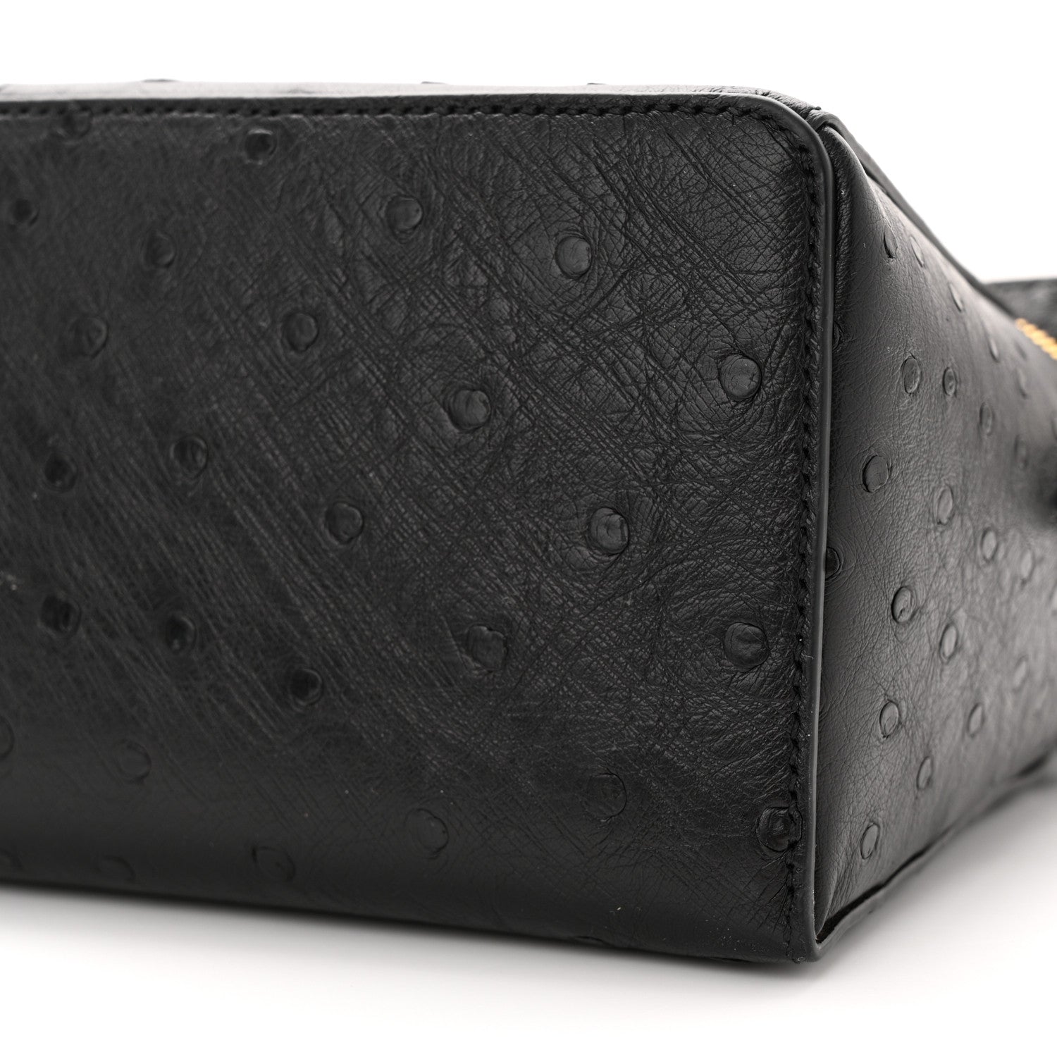 Loro Piana Ostrich Extra Bag L27 Black 9 of 10