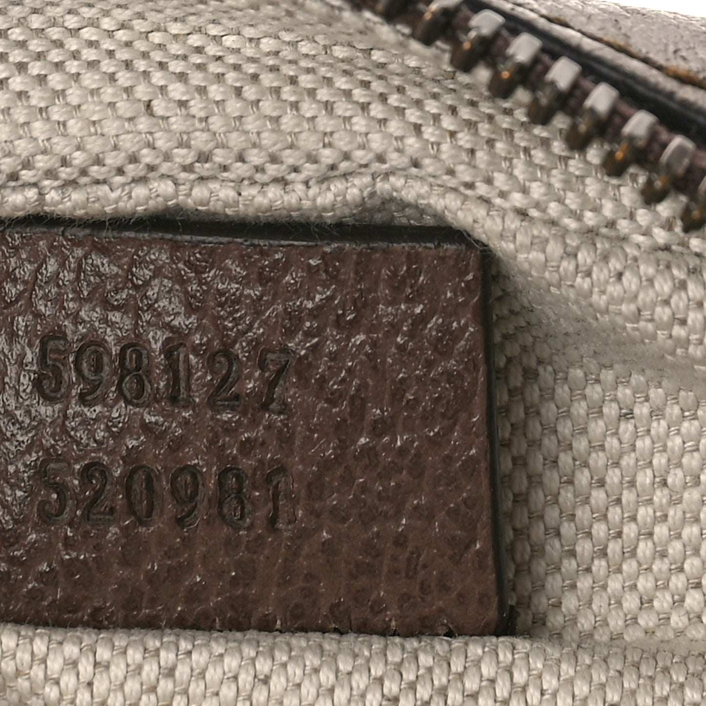 GG Supreme Monogram Web Mini Ophidia Messenger Brown